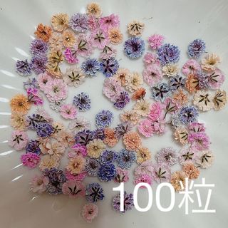 (02)かすみ草ドライフラワー100粒(ドライフラワー)