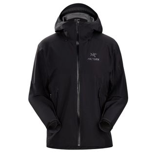 アークテリクス(ARC'TERYX)のArc'teryxアークテリクス ベータ LT ジャケット メンズM新品(マウンテンパーカー)