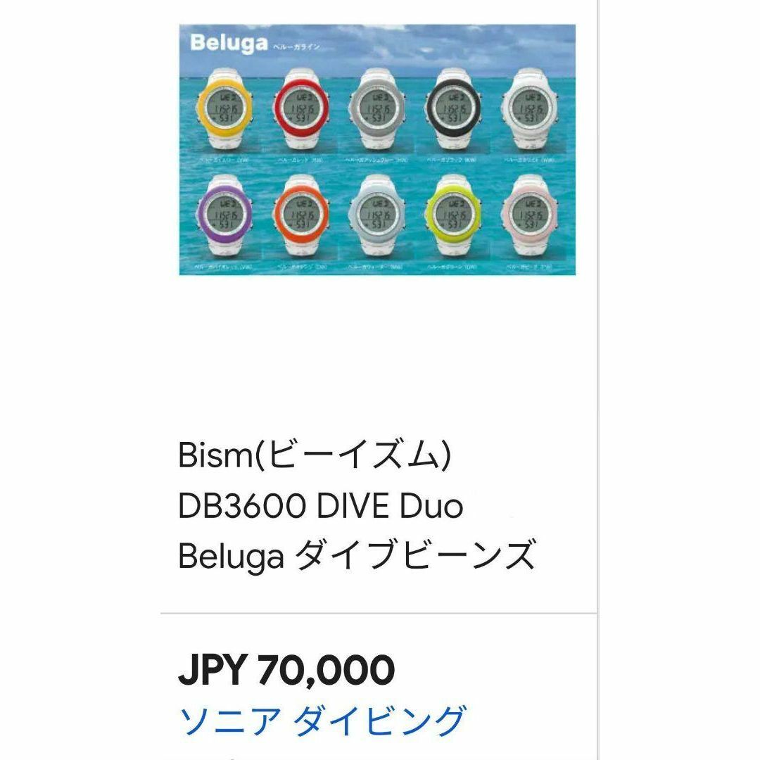 Bism(ビーイズム)の動作品　ダイブコンピューター　DIVE BEANS　腕時計　Bsmi　定価7万円 スポーツ/アウトドアのスポーツ/アウトドア その他(マリン/スイミング)の商品写真