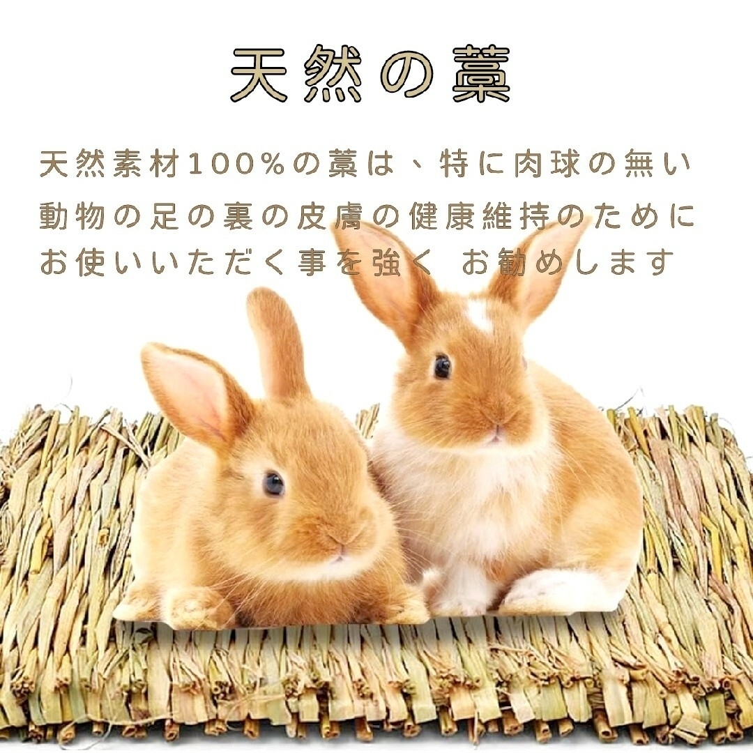 天然素材 藁マット 藁シート 藁 小動物 ２枚 その他のペット用品(小動物)の商品写真