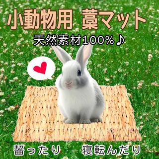 天然素材 藁マット 藁シート 藁 小動物(小動物)