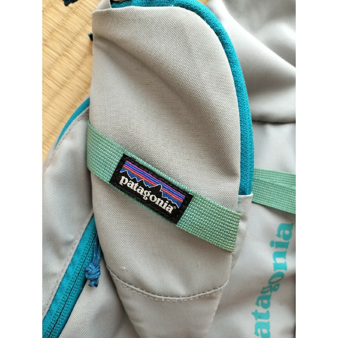 patagonia(パタゴニア)のパタゴニア　アトム 8L メンズのバッグ(ボディーバッグ)の商品写真