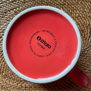 iittala - iittala teema テラコッタ　マグ　0.4L