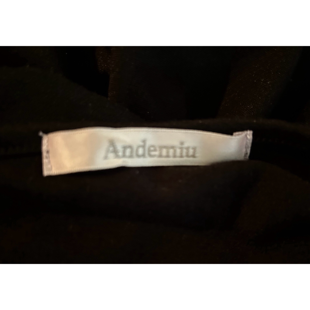 Andemiu(アンデミュウ)の商品名: アンデミュウの美しいシルエットを持つロングワンピース レディースのワンピース(ロングワンピース/マキシワンピース)の商品写真