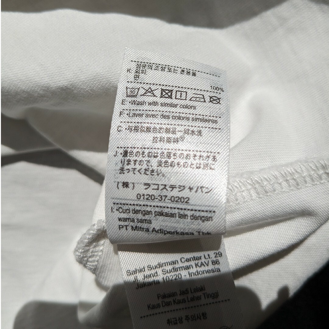 LACOSTE(ラコステ)のLACOSTE ラコステ　ダブルクロックエンブレム　半袖Tシャツ　Sサイズ　白色 メンズのトップス(Tシャツ/カットソー(半袖/袖なし))の商品写真