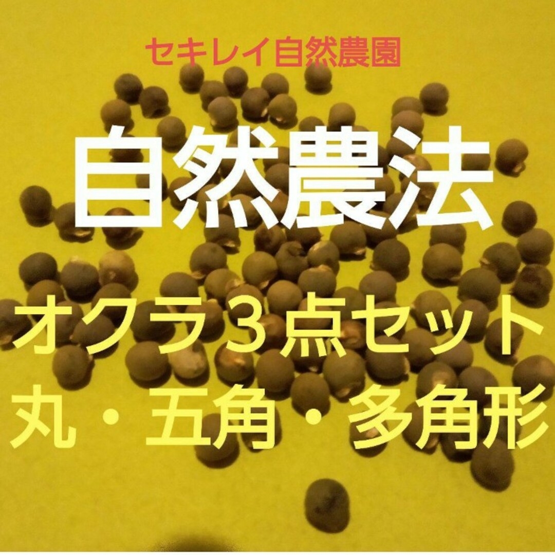 自然農法　オクラ３点セット　丸・五角・多角形 食品/飲料/酒の食品(野菜)の商品写真