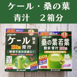 【青汁】2箱分　ケール・桑の葉若葉　100パック(青汁/ケール加工食品)