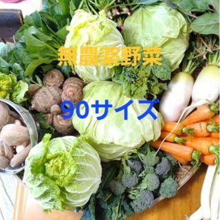 無農薬野菜　90サイズ(野菜)