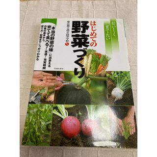 はじめての野菜づくり(趣味/スポーツ/実用)