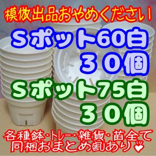 《Ｓポット60＆75》白各30個-ラクマパック-プレステラ丸スリット鉢多肉植物(プランター)