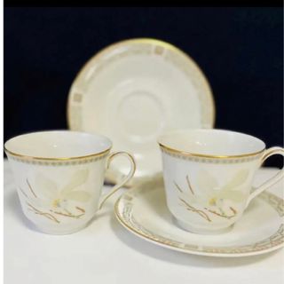 ロイヤルドルトン(Royal Doulton)のロイヤルドルトン  WHITE NILE ティーカップ＆ソーサー 2客　③④(食器)