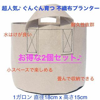 不織布プランター 1ガロン 植木鉢 6号 栽培袋 フェルト ベージュ x 2個(プランター)