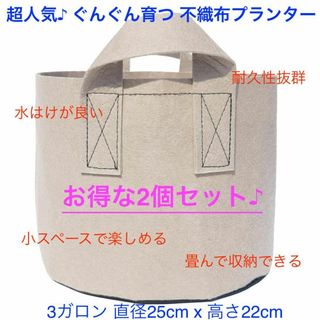 不織布プランター 3ガロン 植木鉢 9号 栽培袋 フェルト ベージュ x 2個(プランター)