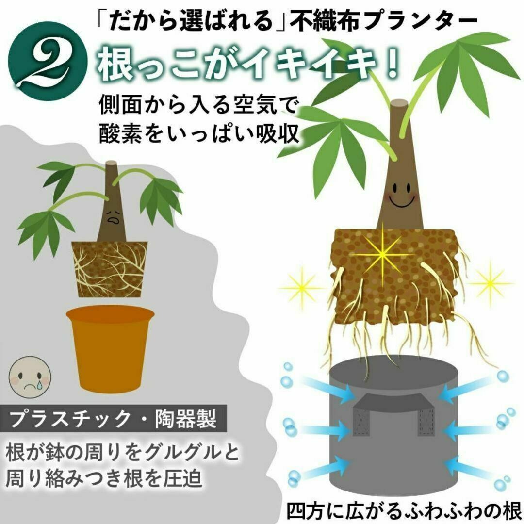 不織布プランター 5ガロン 植木鉢 10号 栽培袋 フェルト ベージュ x 2個 ハンドメイドのフラワー/ガーデン(プランター)の商品写真