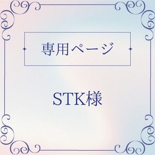 【STK様】オーダー専用❤︎硬貨ケースデコ‪❤︎‬硬質ケースデコ‪❤︎‬(その他)