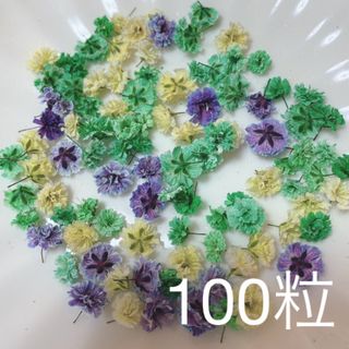 (03)かすみ草ドライフラワー100粒(ドライフラワー)