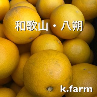訳あり　和歌山産　八朔　15キロ (フルーツ)