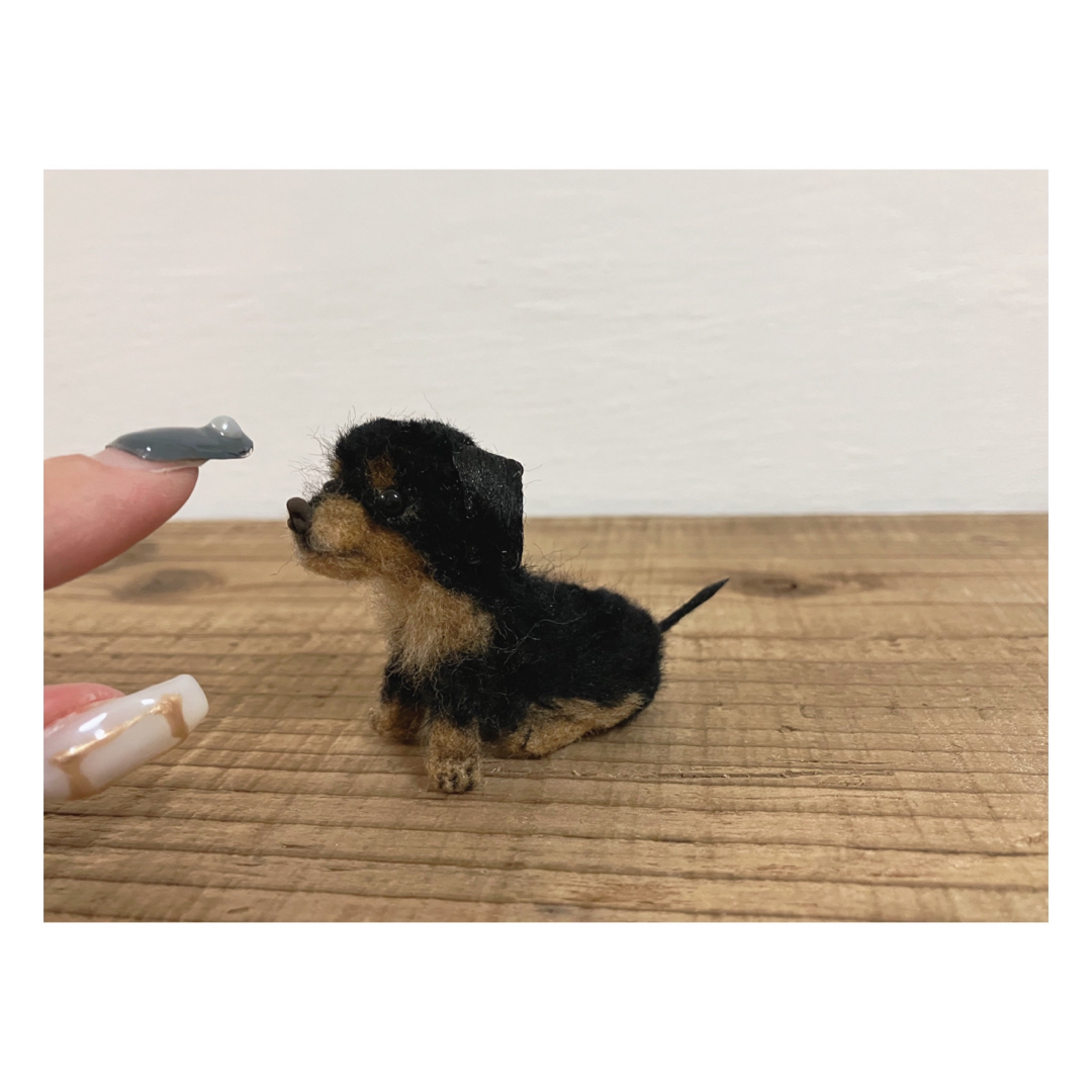 羊毛フェルト ミニチュアダックスフンド 約4.7cm