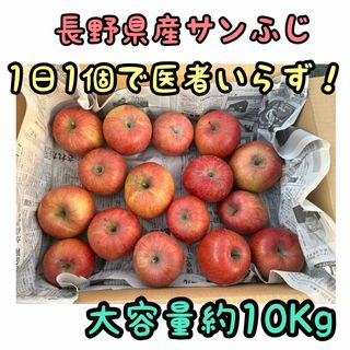 安い！家庭用ふじ約１０ｋｇ(フルーツ)