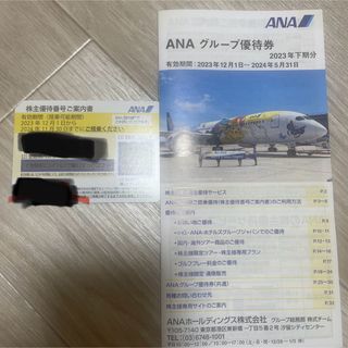 ANA 株主優待　有効期限2024/11/30まで(航空券)