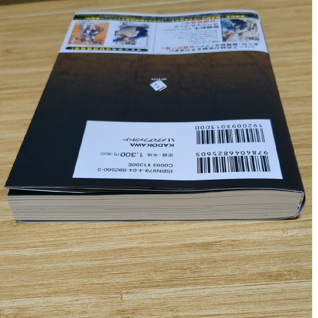 角川書店(カドカワショテン)の無職転生～蛇足編～ エンタメ/ホビーの本(文学/小説)の商品写真