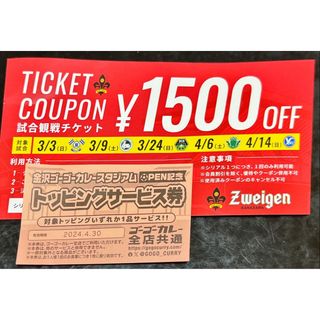 ツエーゲン金沢　試合観戦チケット割引券(サッカー)