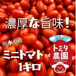 熊本県産ミニトマト「茜とまと1キロ」(野菜)