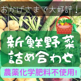 農家おまかせ！新鮮野菜詰め合わせ100サイズ(野菜)