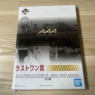 バンダイ(BANDAI)のAAA ビジュアルキャンバスボード -other SHOT edition-(アイドルグッズ)