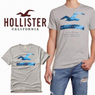 ホリスター(Hollister)の新品【S】ホリスター Tシャツ メンズ ビッグなカモメモデル 送料無料(Tシャツ/カットソー(半袖/袖なし))
