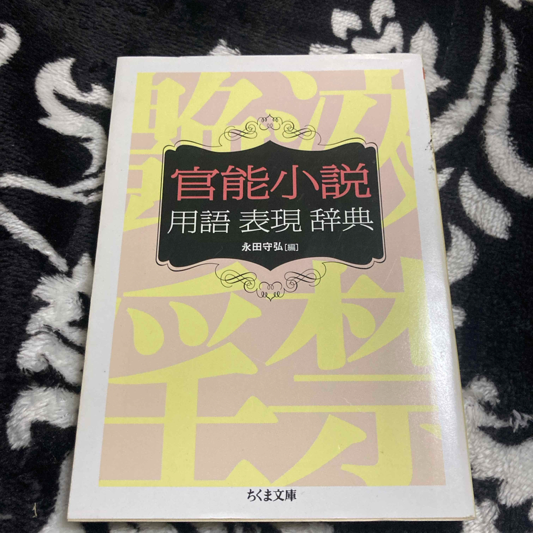 官能小説用語表現辞典 エンタメ/ホビーの本(文学/小説)の商品写真