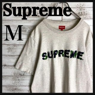 シュプリーム(Supreme)の8805【即完売モデル】シュプリーム☆刺繍ビッグロゴ定番カラーtシャツ　美品(Tシャツ/カットソー(半袖/袖なし))