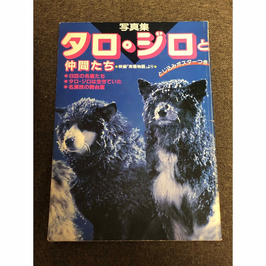 写真集　タロ・ジロと仲間たち　南極物語 エンタメ/ホビーの本(アート/エンタメ)の商品写真