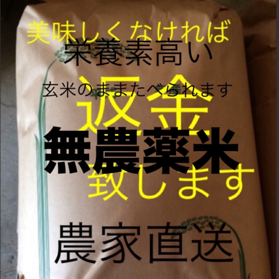 かおり　無農薬米　純こしひかり10㎏ 玄米