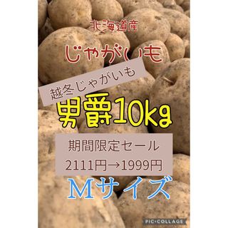 北海道産越冬じゃがいも男爵10kg(野菜)