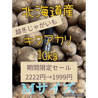 北海道産越冬じゃがいもキタアカリ10kg(野菜)