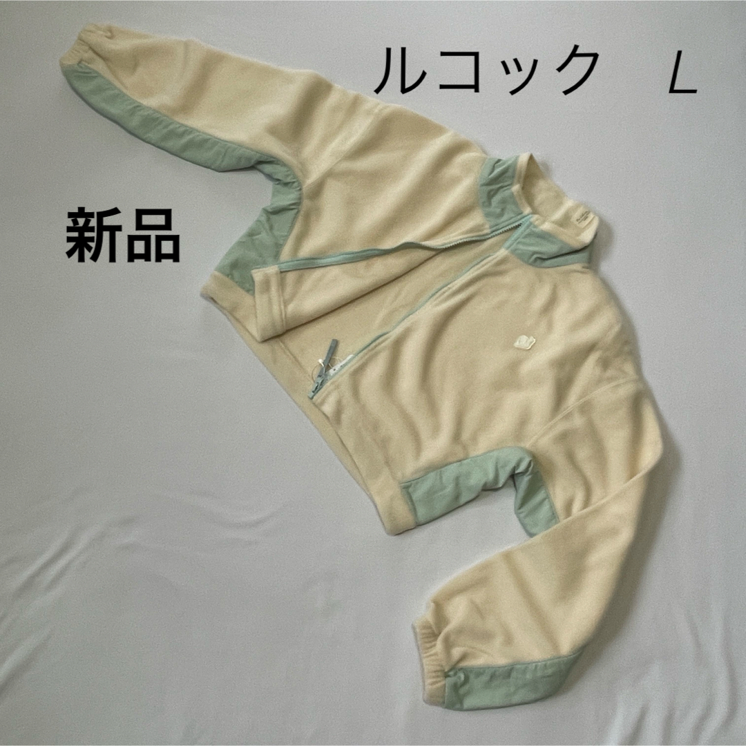 1on1】真作 後藤順一 『秋日』 日本画 彩色 0号 共シール 額装