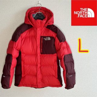 ザノースフェイス(THE NORTH FACE)の【美品】ノースフェイス　ダウンジャケット　HYVENT 700フィル　メンズＬ(ダウンジャケット)