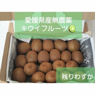 キウイフルーツ 愛媛県産 無農薬 自家製(フルーツ)