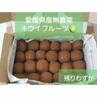 小玉キウイフルーツ 愛媛県産 無農薬 自家製(フルーツ)