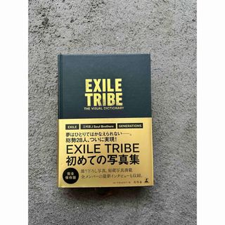 エグザイル トライブ(EXILE TRIBE)のEXILE TRIBE THE VISUAL DICTIONARY(ミュージック)