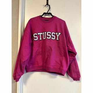 ステューシー(STUSSY)のSTUSSY スウェットトップス(スウェット)