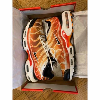 ナイキ(NIKE)の【値下げ交渉可】NIKE AIR MAX PLUS OG 28㎝(スニーカー)