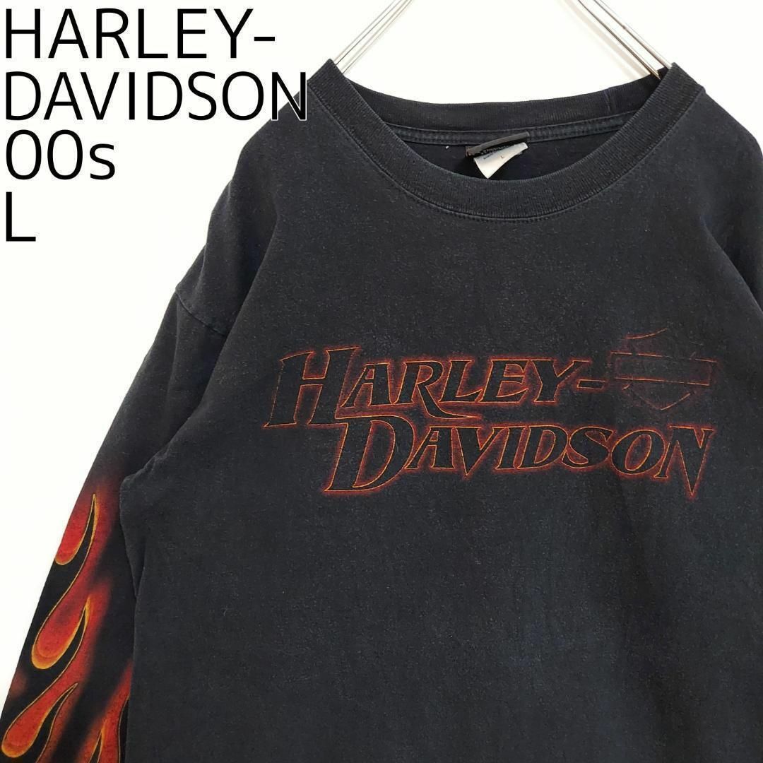 Harley Davidson(ハーレーダビッドソン)のハーレーダビッドソン プリントTシャツ ロンT テキサス XL ブラック 黒 白 メンズのトップス(Tシャツ/カットソー(七分/長袖))の商品写真