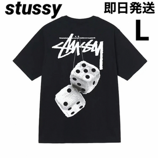 STUSSY - ステューシー ⭐️ L STUSSY FUZZY DICE TEE Tシャツ 黒