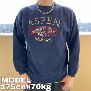 90s アスペン コロラド アーチロゴ刺繍スウェット M ネイビー紺 ゴールド(スウェット)