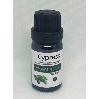 10ml(Cypress)サイプレス(エッセンシャルオイル（精油）)