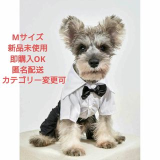 蝶々結びデコレーション ツートーン ペット用ジャンプスーツ(犬)