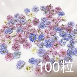 (05)かすみ草ドライフラワー100粒(ドライフラワー)