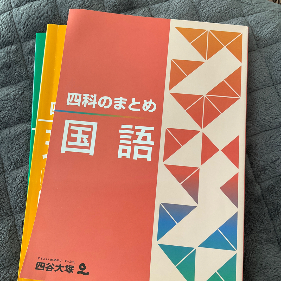 ①Mina 様用おまとめ　国語➕理科➕社会 エンタメ/ホビーの本(語学/参考書)の商品写真